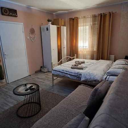 Apartman Iva 자예카르 외부 사진