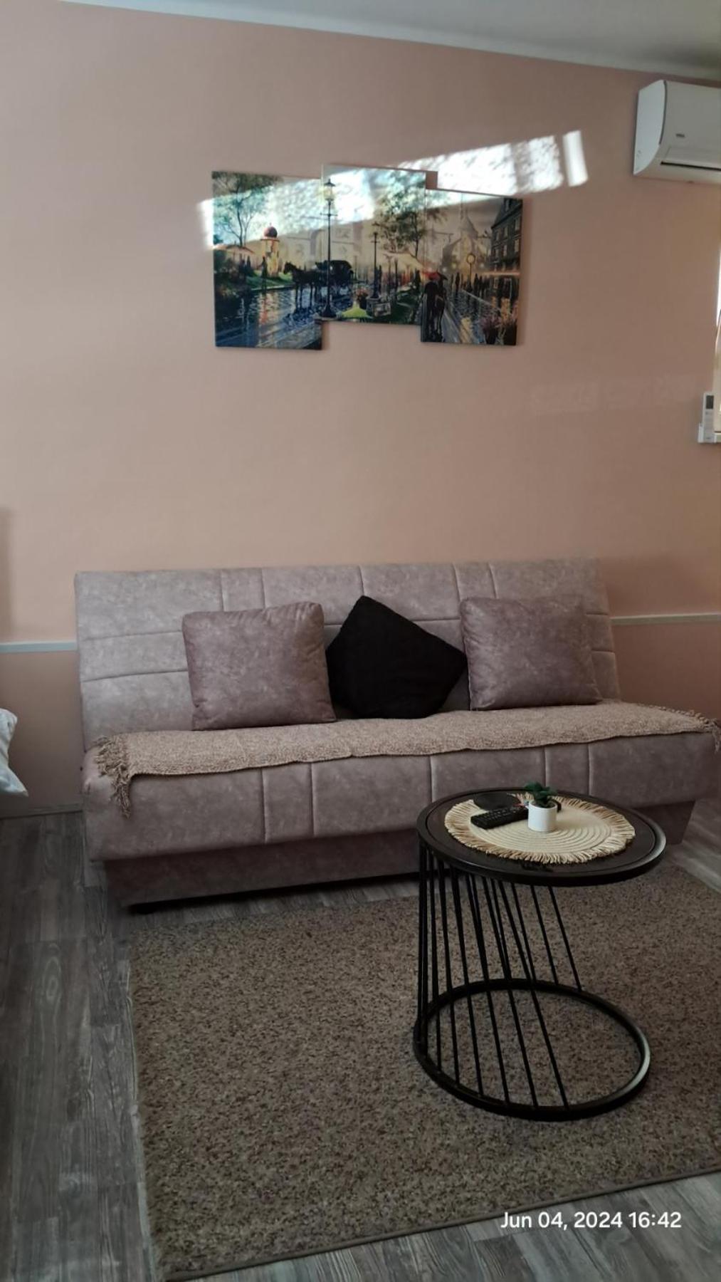 Apartman Iva 자예카르 외부 사진